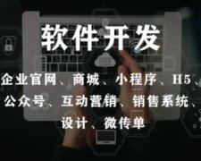 网站建设/推广、小程序开发、公众号